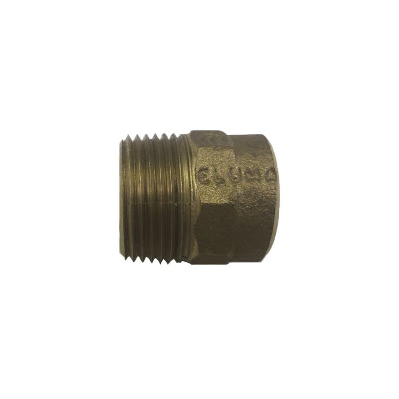 Conector Macho Bxrm 804 22 X 3/4" Npt
